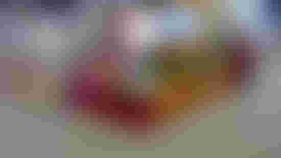 P1073770.jpeg
